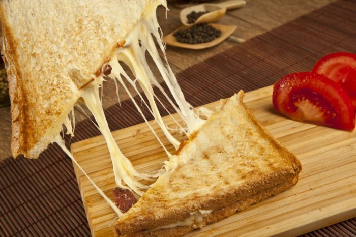 tost makinesi tavsiye