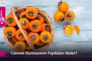 cennet hurması